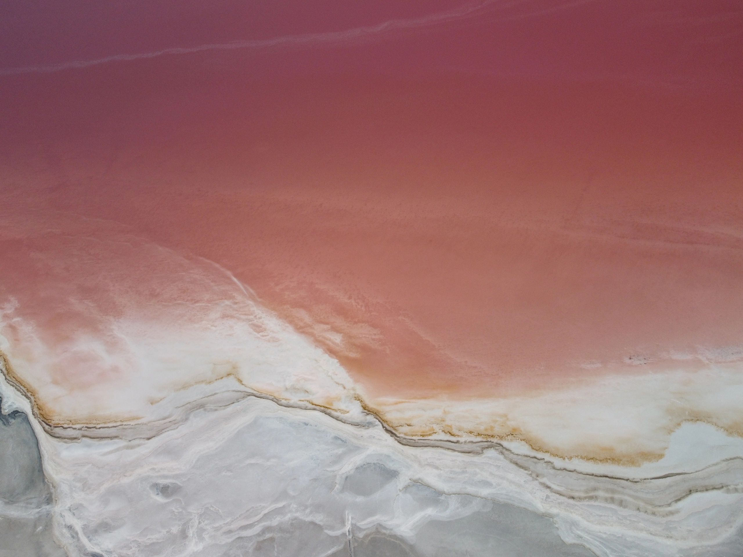 Pink salt lake image used for export quality pink salt section