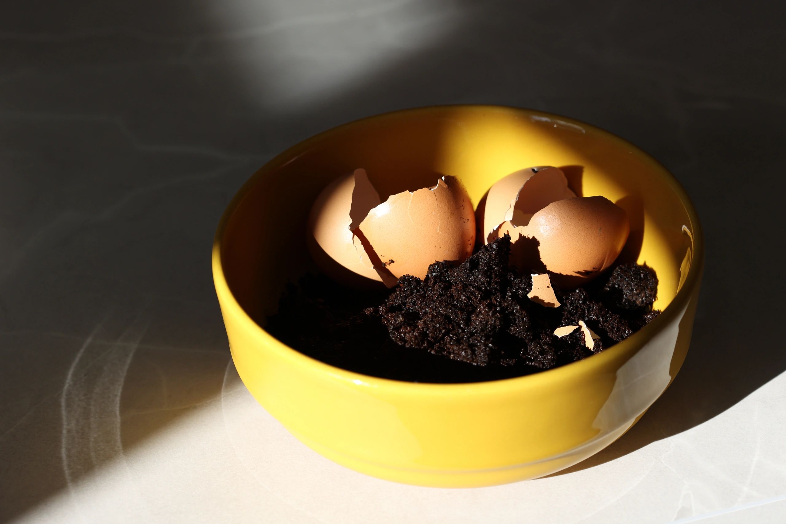 Egg shells and processed material representing eggshell powder